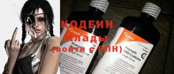 хмурый Аркадак