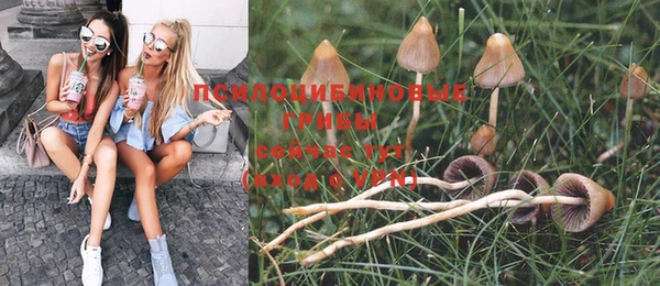 дживик Арсеньев