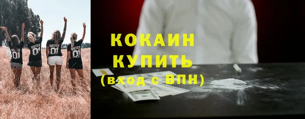 дживик Арсеньев