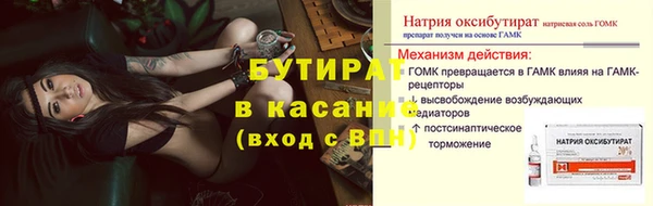 хмурый Аркадак