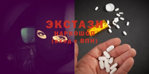 хмурый Аркадак