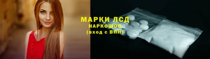 хмурый Аркадак