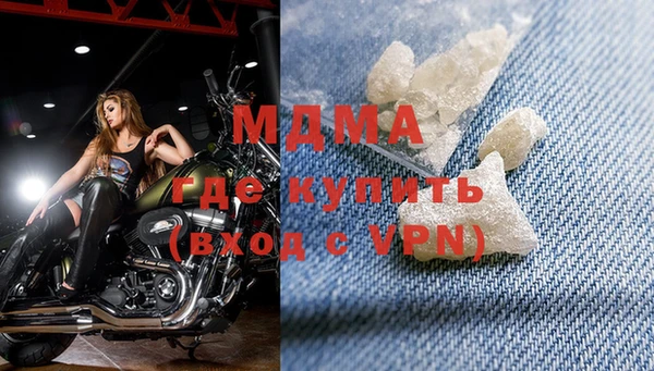 хмурый Аркадак