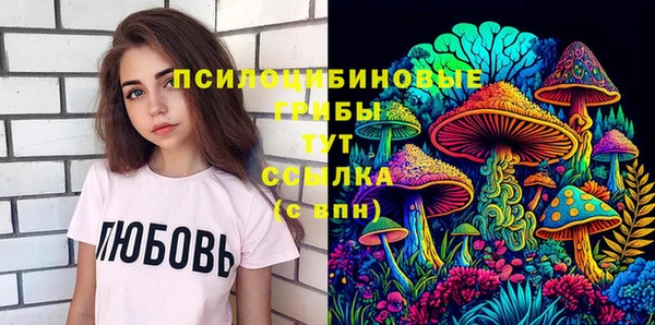 хмурый Аркадак
