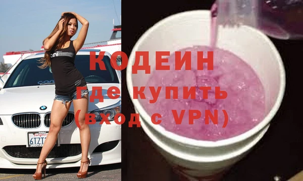 хмурый Аркадак