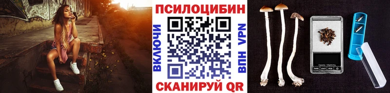 Псилоцибиновые грибы Magic Shrooms  что такое   МЕГА ONION  Медынь 